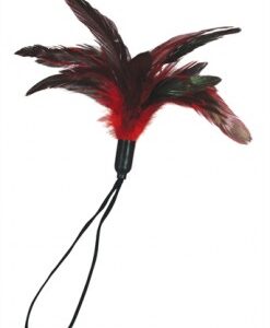 Pleasure Feather - Red